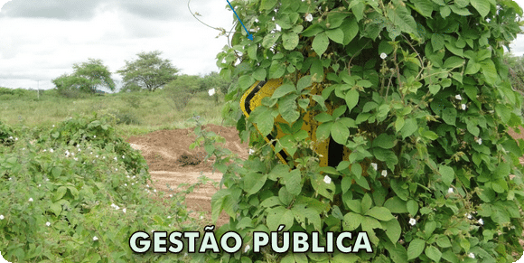 Gestão Pública também é compromisso do cidadão - ABQ