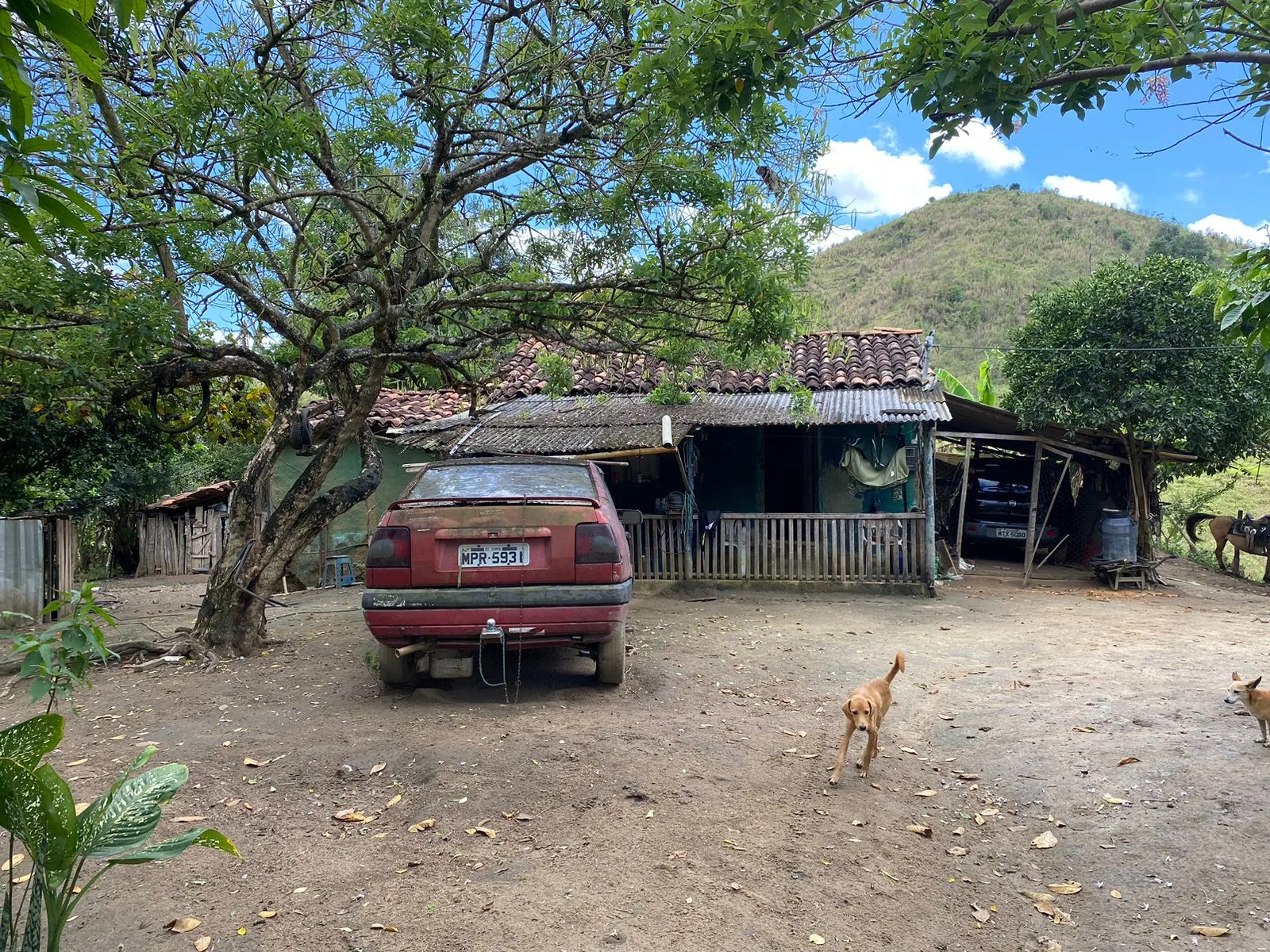 Capixaba resgatada em cativeiro pediu ajuda pelas redes sociais