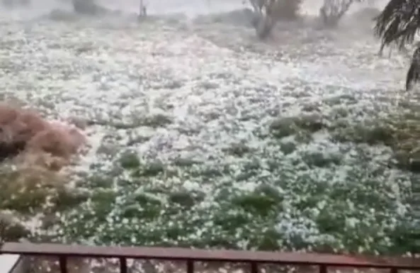 VÍDEO | Chuva de granizo destrói lavoura de café em Águia Branca