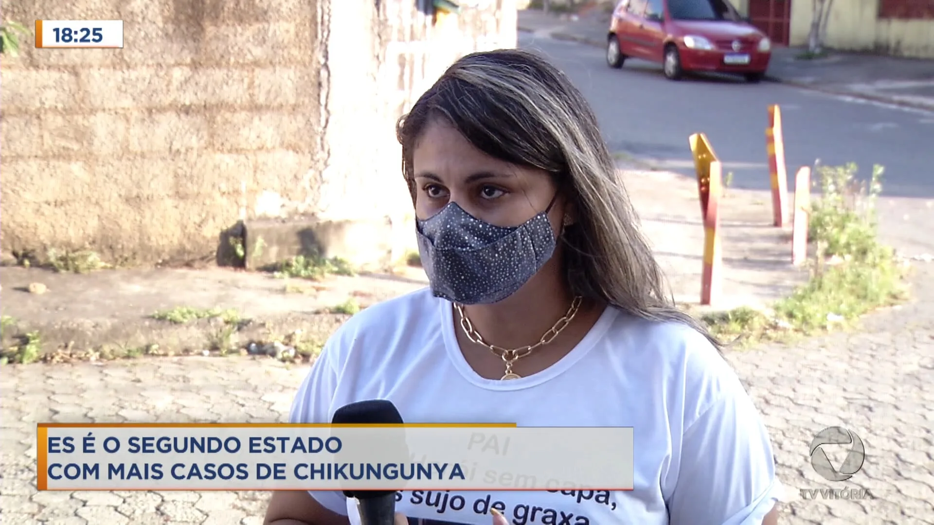 ES é o segundo estado com mais casos de Chikungunya