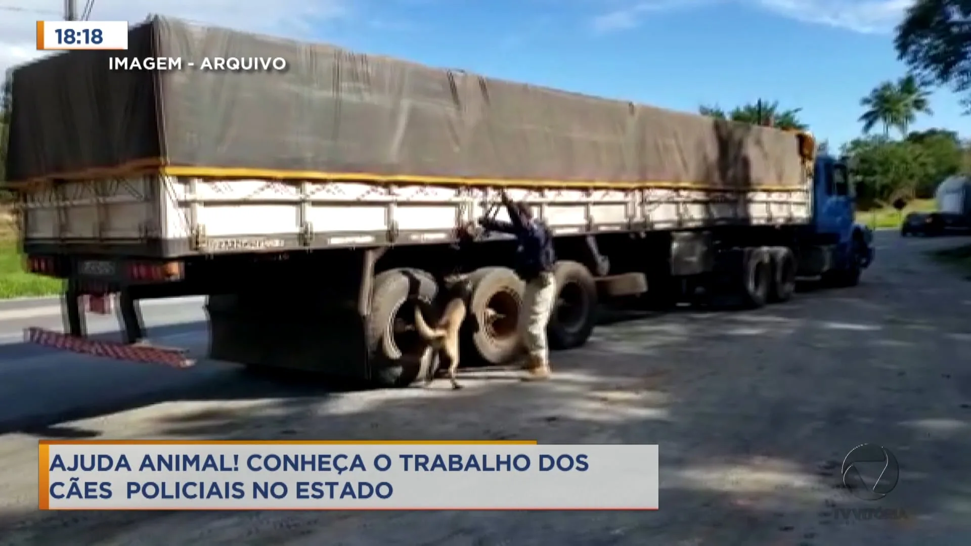 Ajuda animal! Conheça o trabalho dos cães policiais no estado