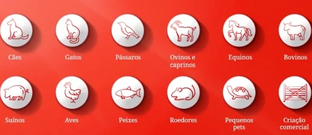 Alinutri Nutrição Animal abre vaga para vendedor