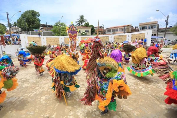 Foto: Divulgação/DINO 