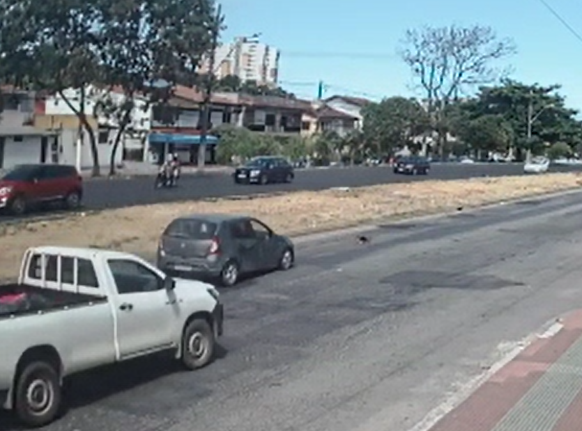 VÍDEO | Motorista atropela cachorro em rodovia de Vila Velha e foge do local