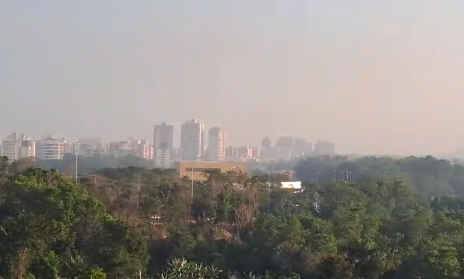 Onda de calor: Incêndios em vegetação no ES disparam e bombeiros fazem alerta