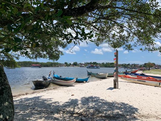 Pandemia gera oportunidades no setor de ecoturismo