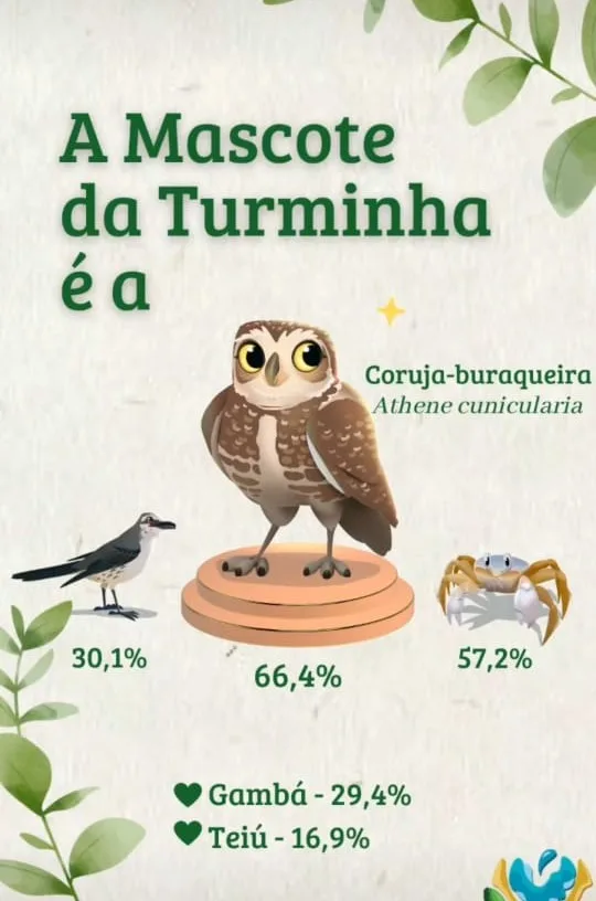 Coruja-buraqueira é a nova mascote do projeto Vitória da Restinga