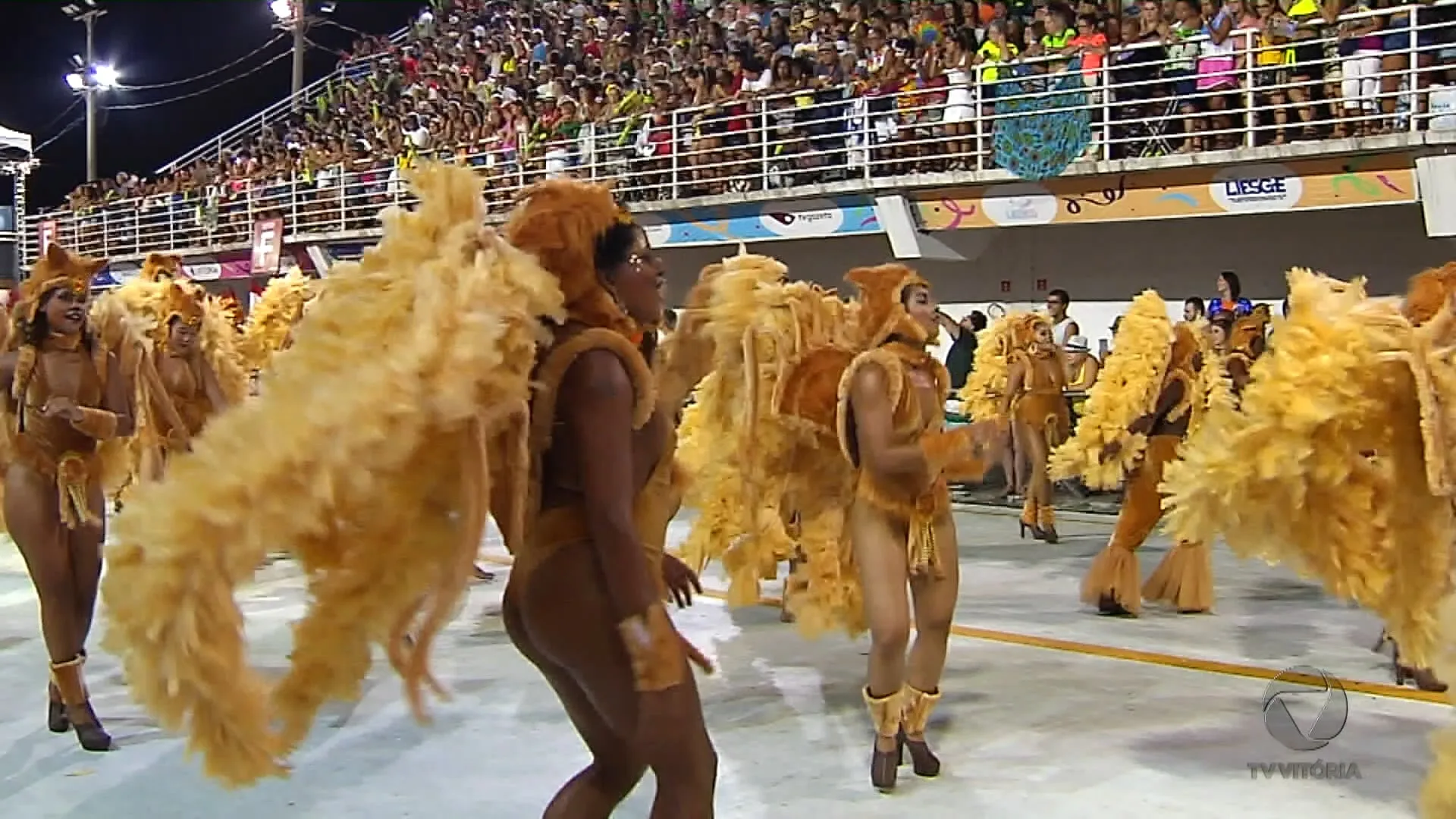 Especial Carnaval: Unidos da Piedade quer conquistar o 15º título