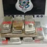 Operação policial apreende 10 kg de maconha dentro de ônibus de viagem em Guarapari