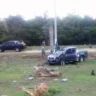 Motorista capota após arrancar poste e árvore em Linhares