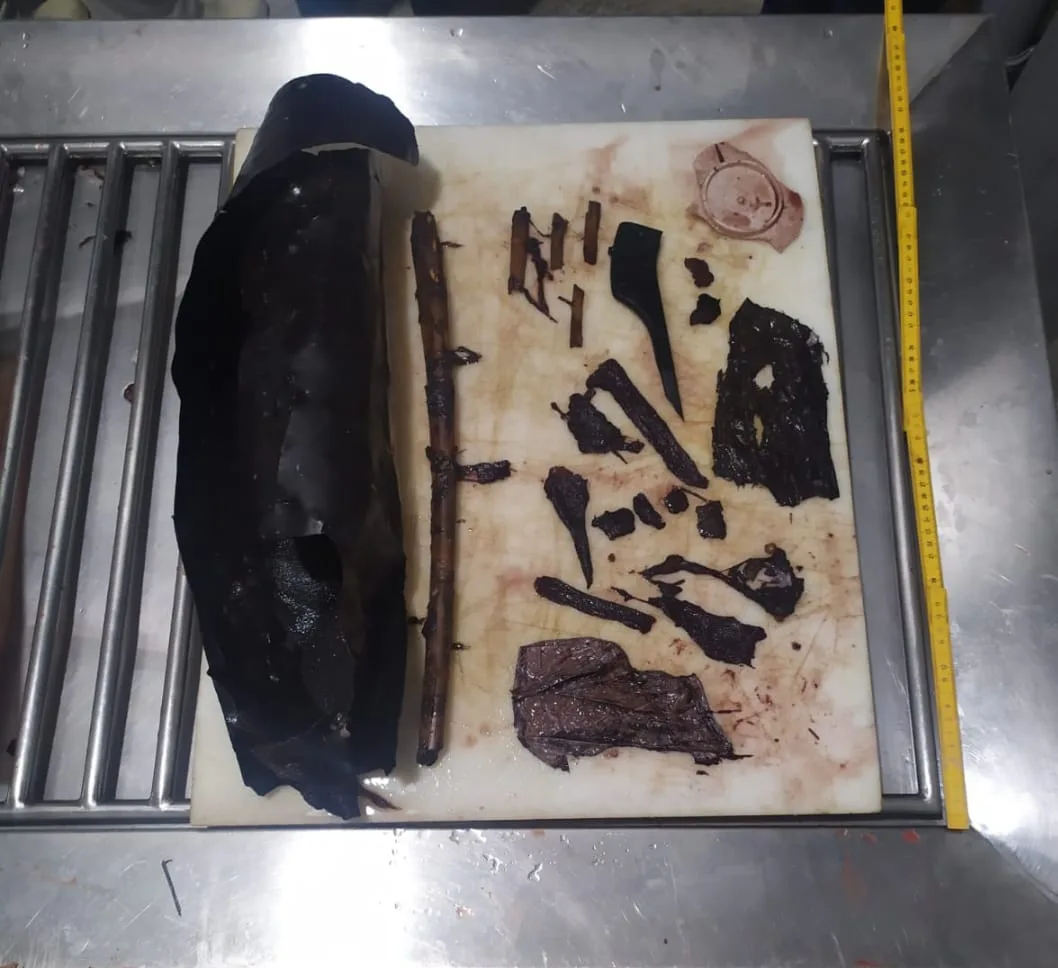 Orca encontrada morta na Serra havia ingerido grande quantidade de plástico