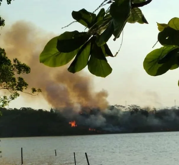 Foto: Reprodução TV Vitória