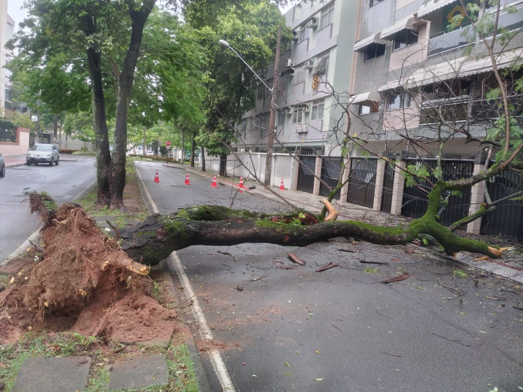 VÍDEOS | Chuva derruba árvore, alaga ruas e gera transtornos na Grande Vitória