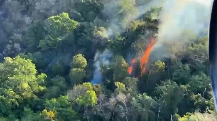 Incêndio atinge Parque Vale do Mulembá em Vitória