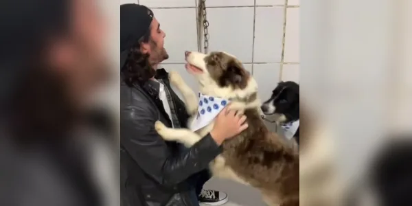 Acusado de abandono, Fiuk pega de volta cachorros deixados em abrigo