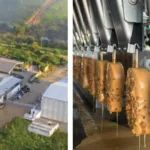 O complexo industrial do Grupo Lamoia em Piúma e os picolés saindo da linha de produção: aposta em tecnologia e investimento para produzir 25 milhões de picolés por ano até 2026. Crédito: Divulgação/ Grupo Lamoia