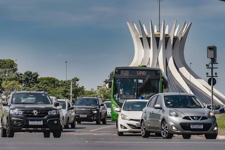 Motorista que atropelar animal e não comunicar terá que pagar multa de R$ 293