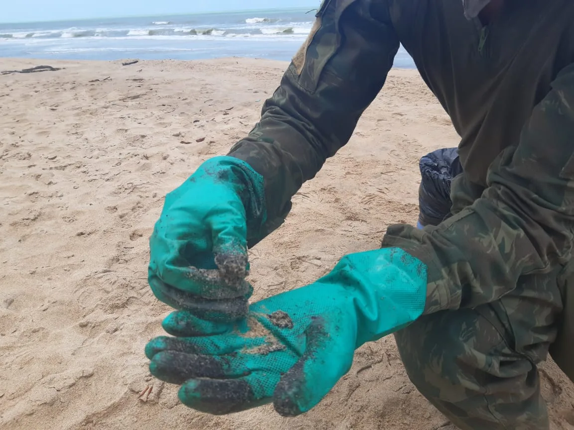 Santuário de tartarugas no Espírito Santo é atingido por óleo