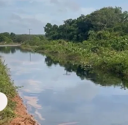 VÍDEO | Vazamento de óleo atinge lagoa em Linhares, no Norte do ES