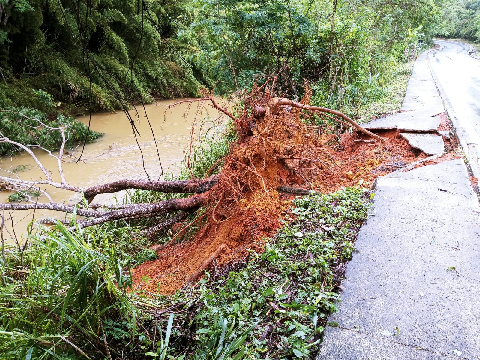 Chuva causa queda de árvore e destruição de calçada no Norte do ES