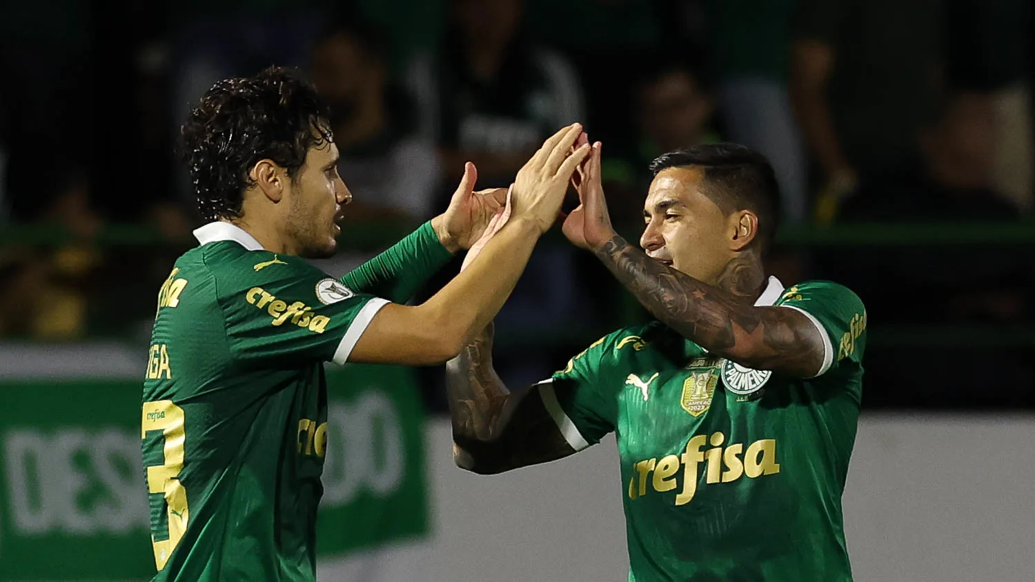 Palmeiras encosta no Botafogo: veja as chances de título no Brasileirão