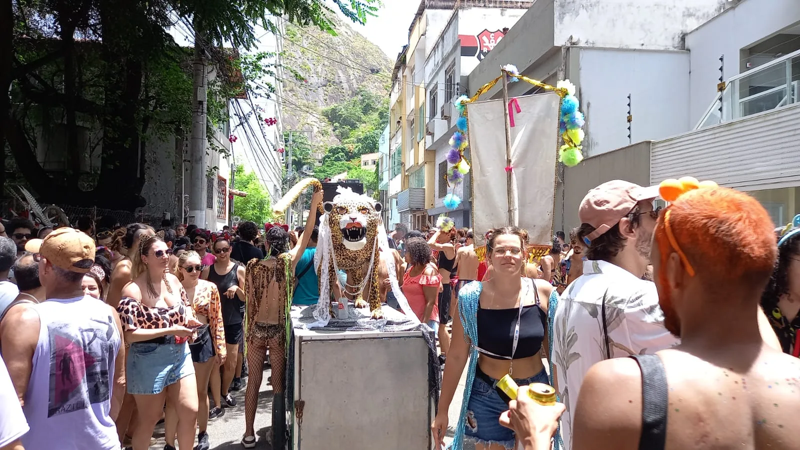 Amigos da Onça, Galinha Preta e Ratazanas agitam o Carnaval nesta terça; veja programação