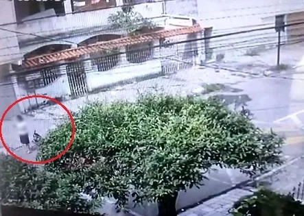 Vídeo mostra momento em que idosa é atacada por pitbulls em Vila Velha; assista