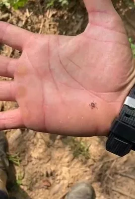 Vídeo de pescador com centenas de carrapatos viraliza