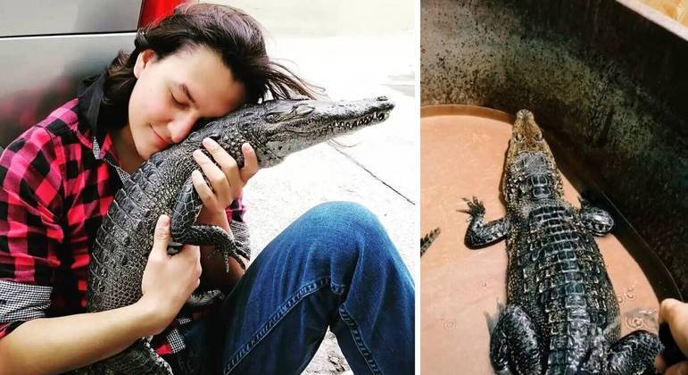 Mexicano adota Gamora e mostra rotina com crocodilo de estimação