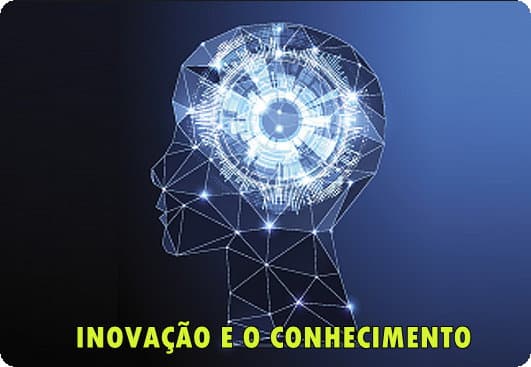 O Aprendizado Organizacional e a Inovação