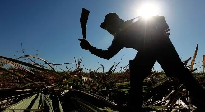 Operação conjunta liberta 140 trabalhadores de condições análogas à escravidão