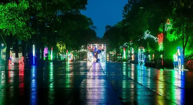 Instituto Butantan retoma o Natal Iluminado após dois anos de pandemia