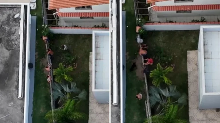 Foto: Divulgação/Polícia Civil