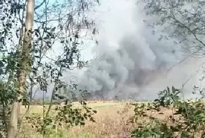 VÍDEO | Incêndio atinge grande área de vegetação na Serra