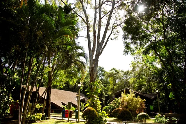 Inscrições abertas para pós-graduação em educação ambiental no Norte do ES