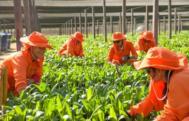 Grupo BBF já gerou mais de 1.400 empregos em 2023