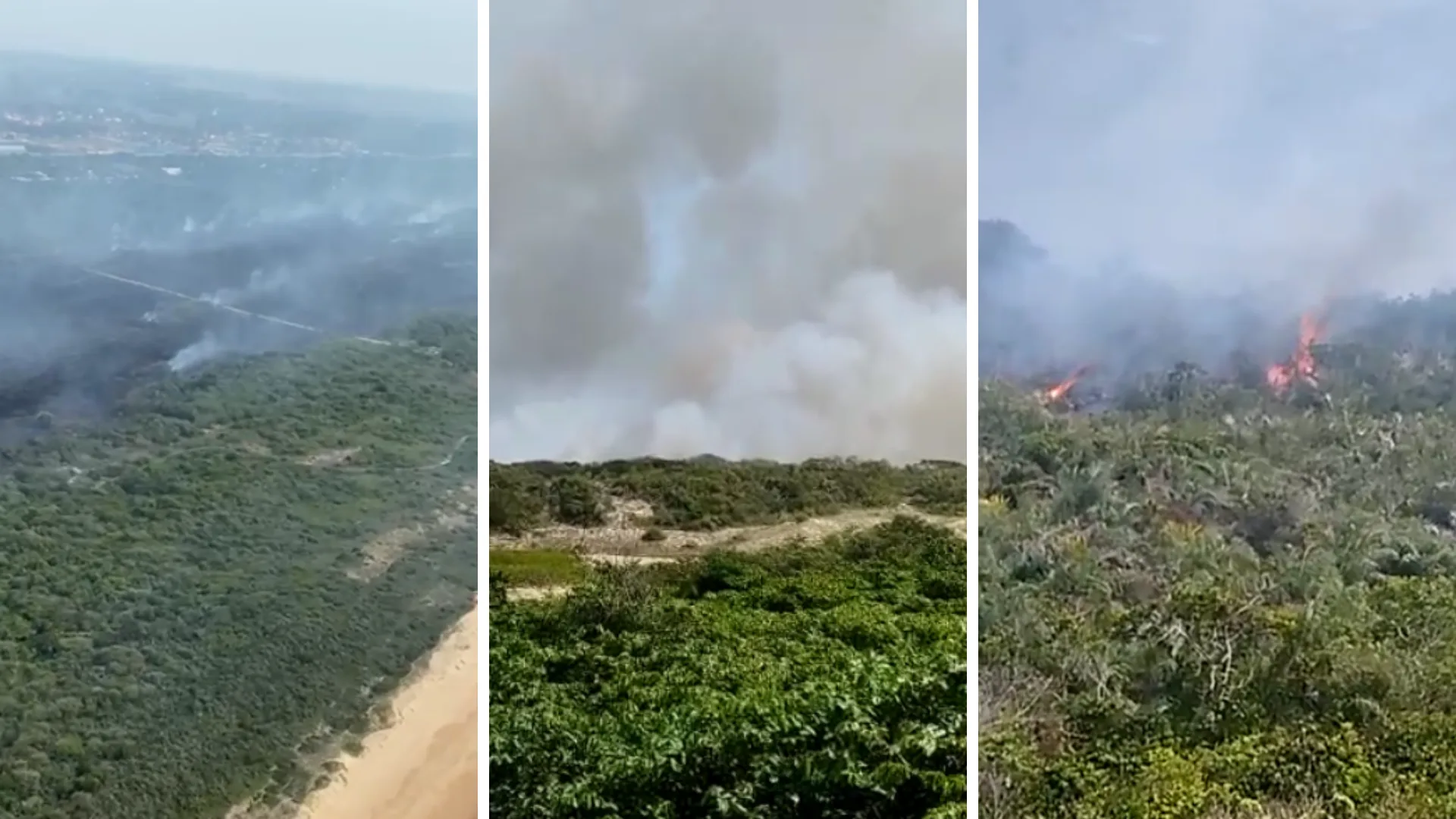 VÍDEOS | Novo incêndio atinge Parque Paulo César Vinha, em Guarapari; fumaça chega a Vitória