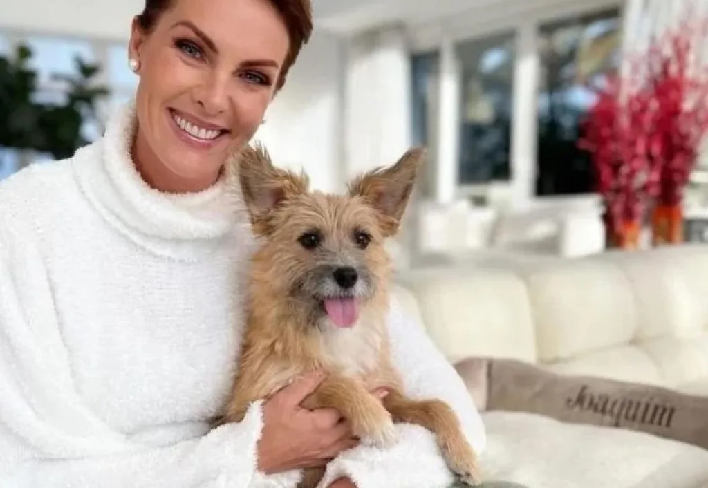 Cachorrinho resgatado por Ana Hickmann ajudou apresentadora durante agressões