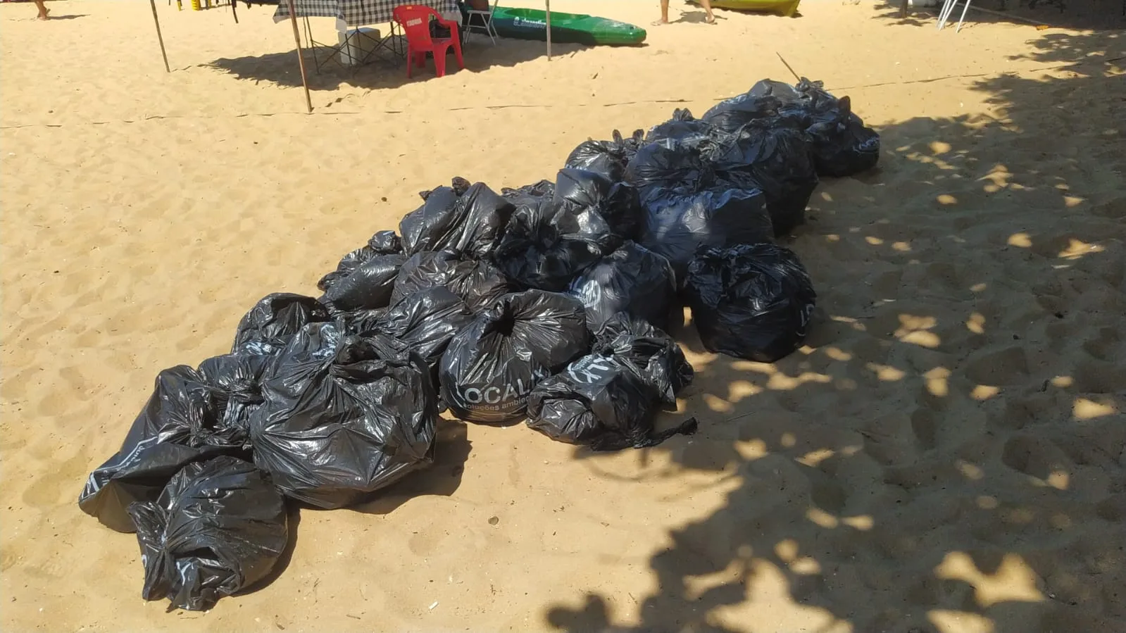 Voluntários recolhem 250 quilos de lixo de ilhas e praia em Vila Velha