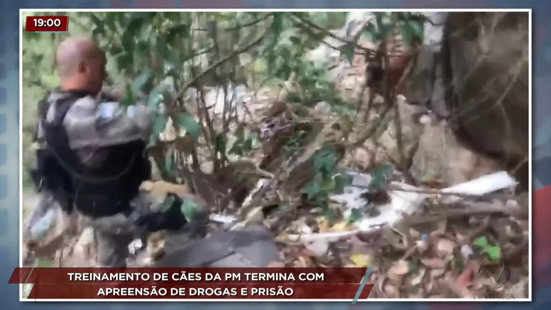 Treinamento de cães da PM termina com apreensão de drogas e prisão