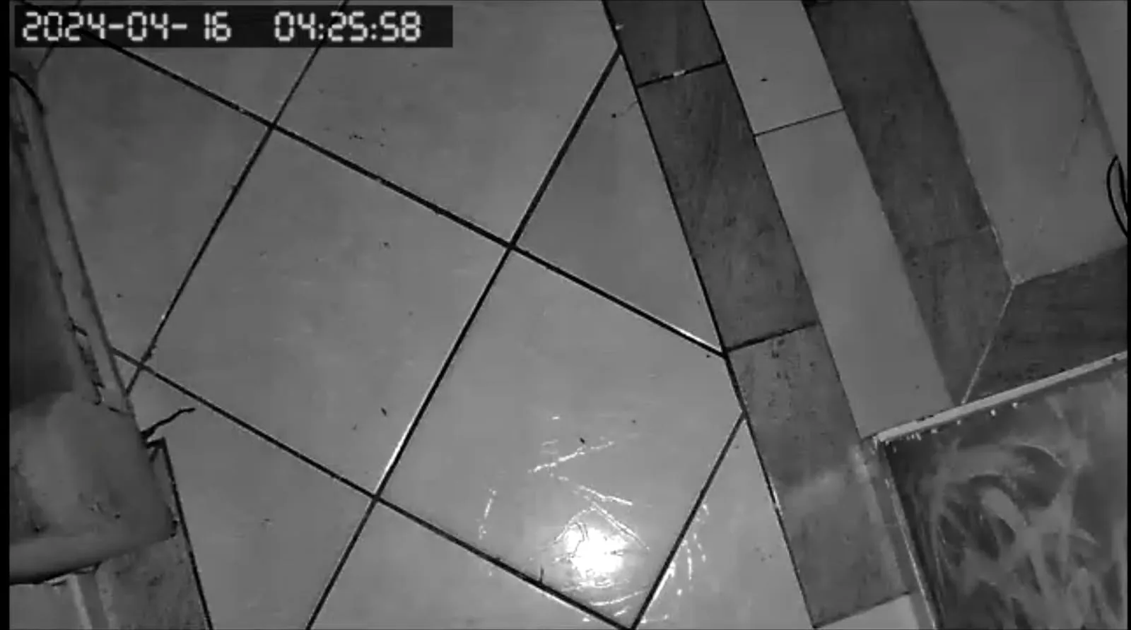 VÍDEO | Mais de 10 criminosos armados invadem casa em Vila Velha