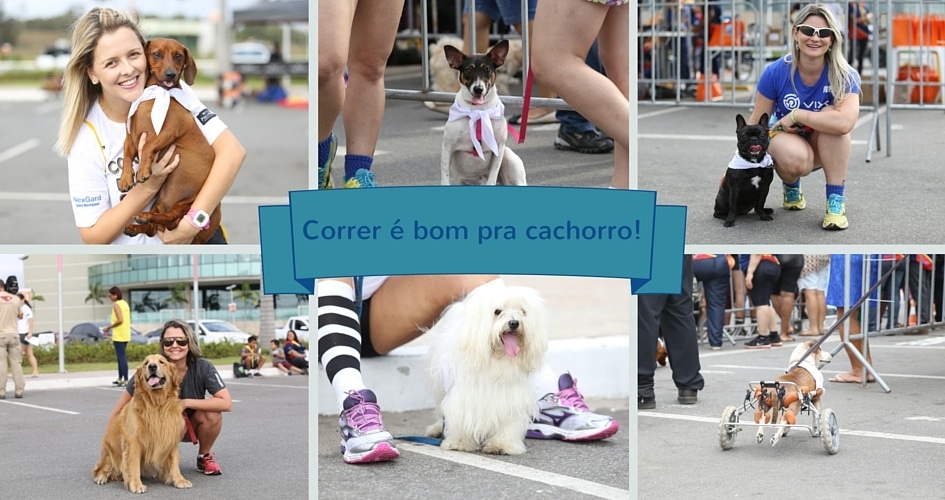 Galeria de fotos: patinhas, latidos e muita fofura na Correndo Pra Cachorro