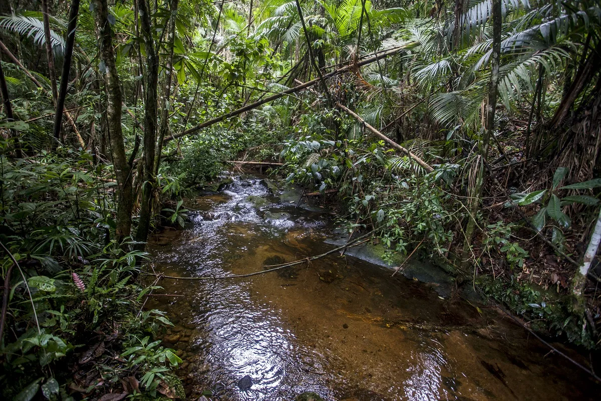 “descrever a situação”, encontrado no “digite o local contendo cidade, estado e país”