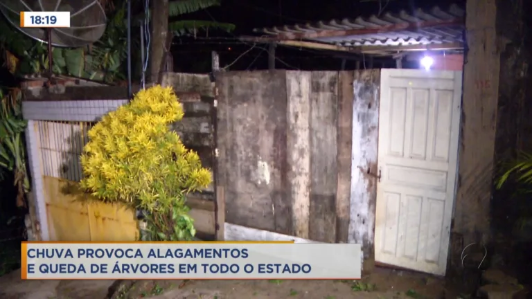 Chuva provoca alagamentos e queda de árvores em todo o estado