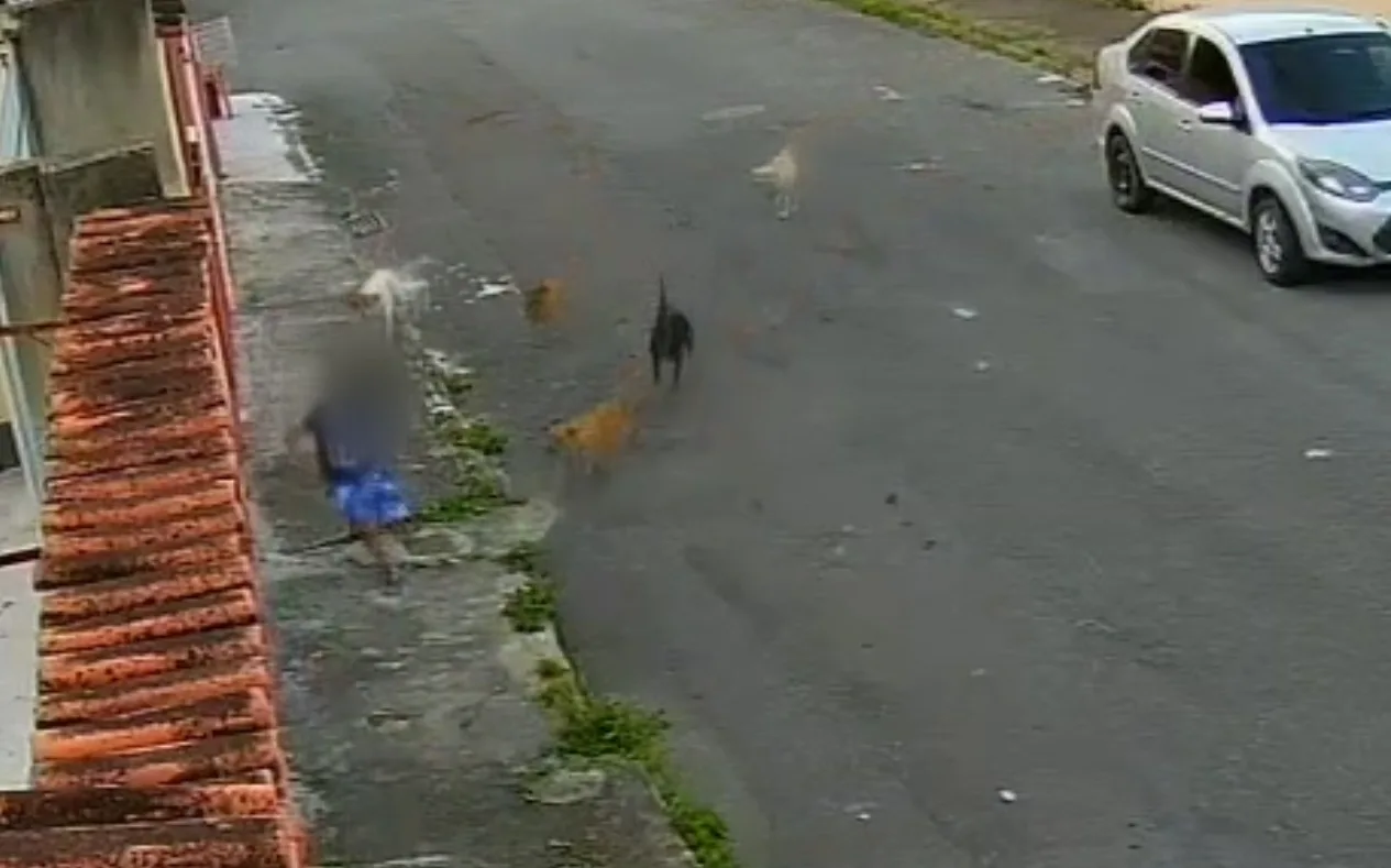 VÍDEO | Criança de 10 anos é atacada por cachorros no bairro Santa Cecília, em Vitória