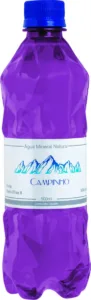 garrafa campinho 500ml opções-