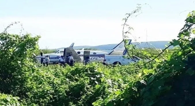 Avião com vacinas bate em jumento durante pouso