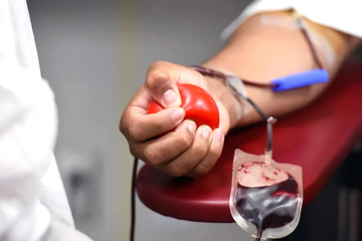 Veja quais são as regras e quais os locais para doar sangue no ES