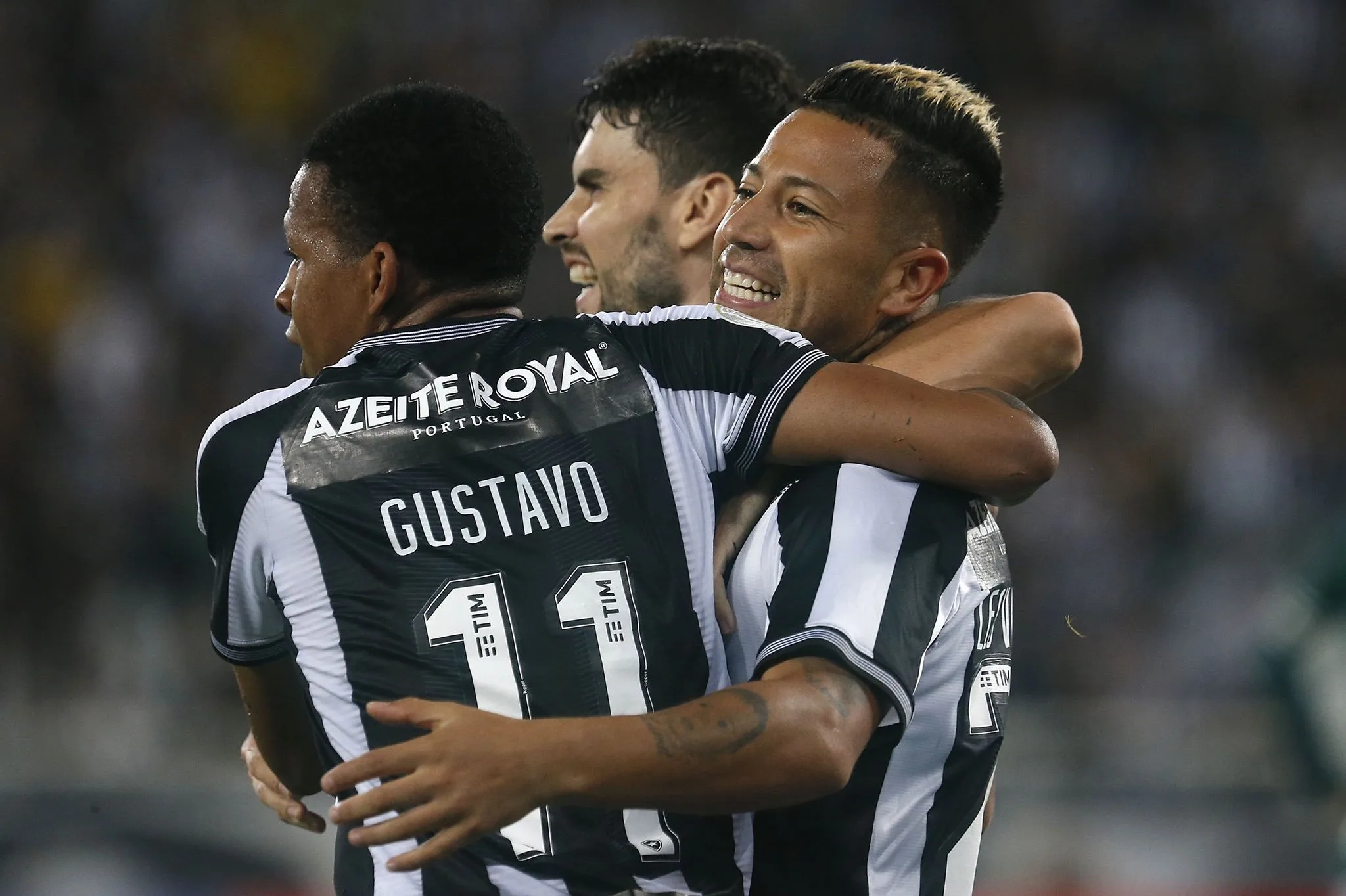 Com interino, Botafogo encerra jejum e derruba série invicta do Goiás