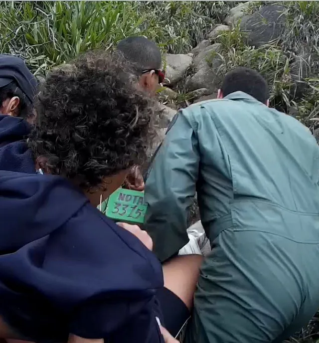 Mulher cai em buraco e rompe ligamento do joelho na trilha do Mestre Álvaro